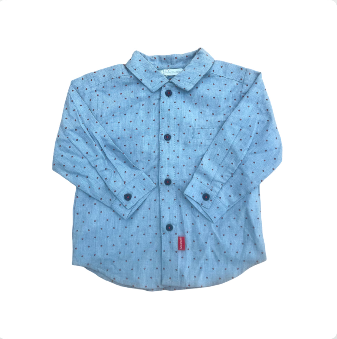 Tutto Piccolo Boys Blue Cotton Shirt & Trousers Set